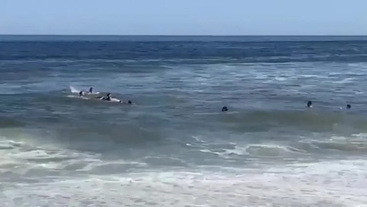 足球预测-惊险万分！太阳报：德米凯利斯一家游泳时被海浪冲走，最终被救起